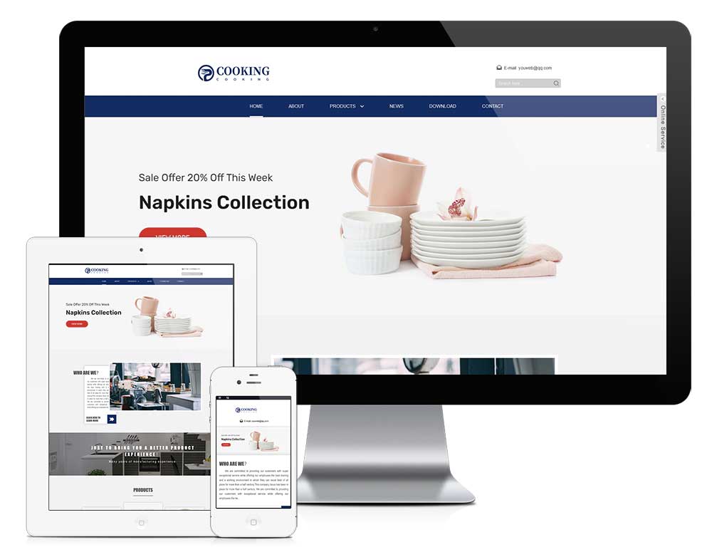 防城港定制网站案例